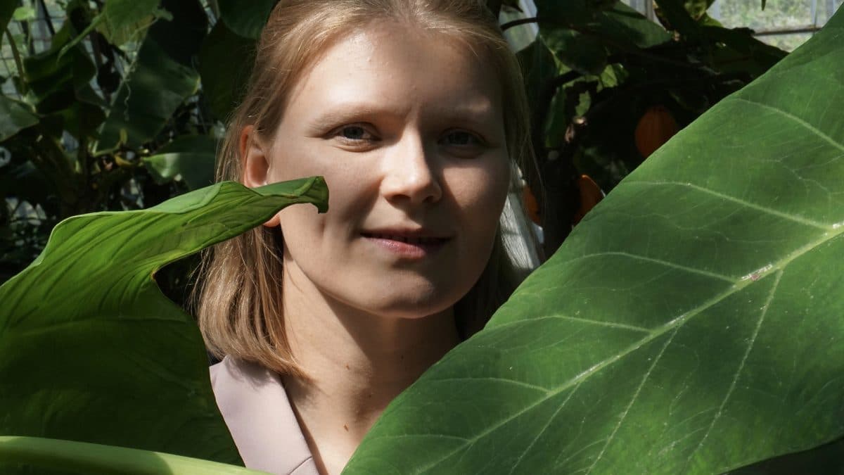 A person is partially hidden behind large green leaves in a lush, leafy setting.