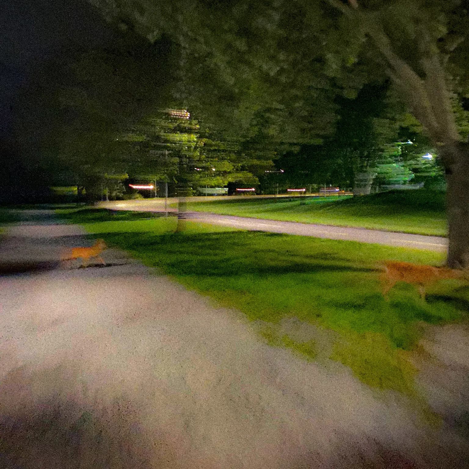 Two blurred deer are seen crossing a path in a park-like setting at night.